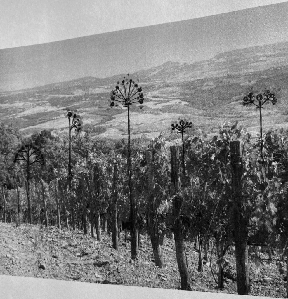 I premi d&rsquo;arte previsti per l&rsquo;inverno 2026. Comel, Pannaggi, WineWise, Matteo Olivero, Bai Yu Art Foundation