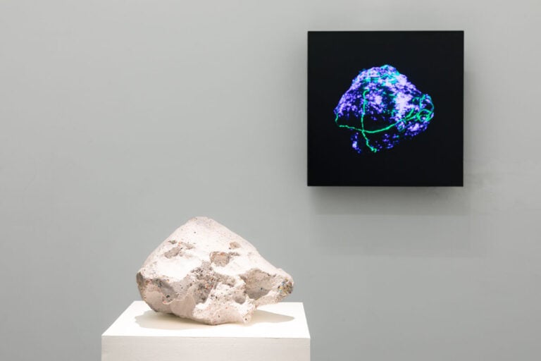 Agnieszka Kurant. Variantology, Courtesy of Galleria Lia Rumma Milano, Danilo Donzelli Photography