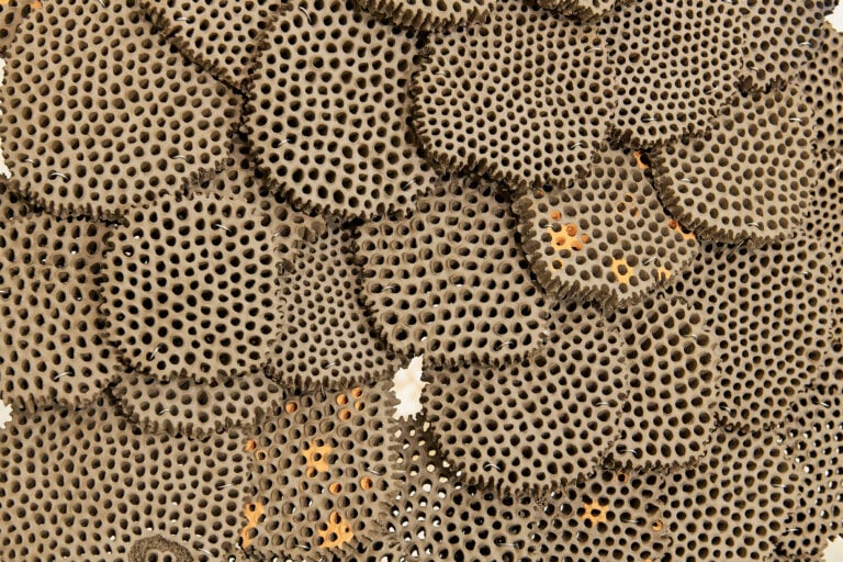 Polignano a Mare (BA), ExChiesetta. Donato Trovato, "Mente alveolare", 2026. Ph: Marino Colucci 2026