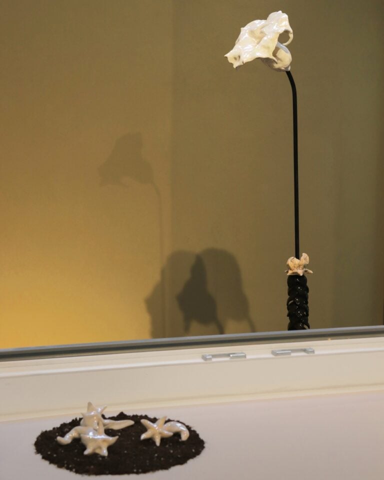 Pini Art Prize 2025/2026