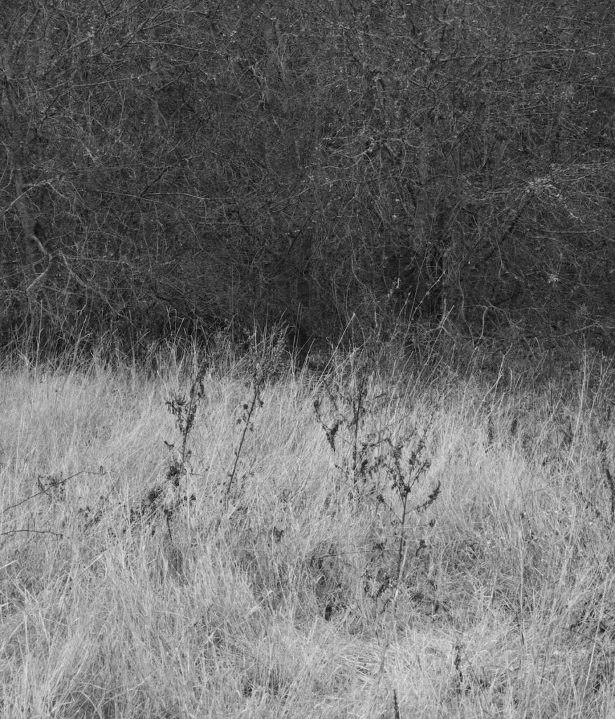 Antonio Di Cecco – Ciò che resta