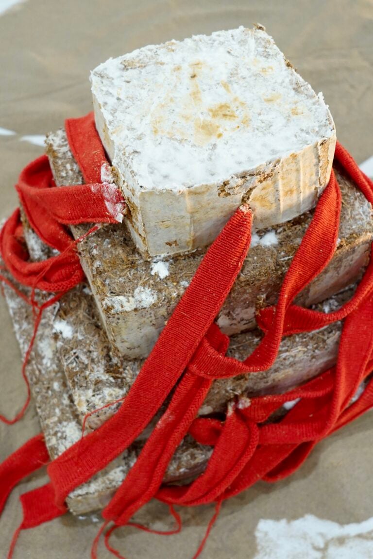 Scarti che diventano arte: le sculture di Zixiang Zhang come organismi viventi