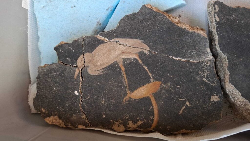 Le prime scoperte archeologiche del 2026. Tra relitti marini, acquedotti e affreschi romani