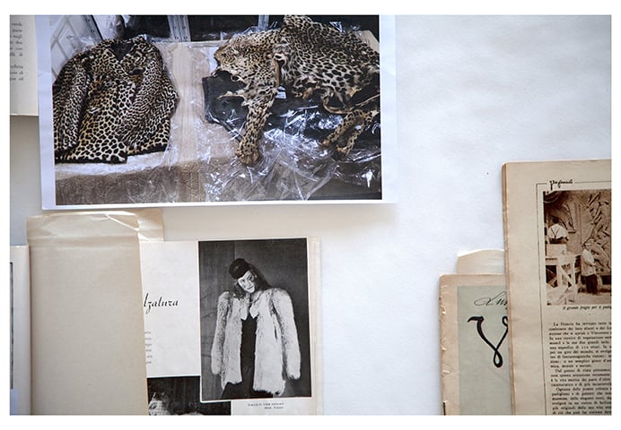 Decolonizing the Gaze