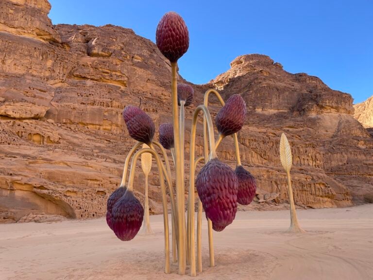 Desert X AlUla 2026, opera di Maria Magdalena Campos-Pons, photo Claudia Giraud