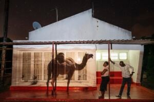 Giulia Piermartiri / Edoardo Delille - Atlas of the New World