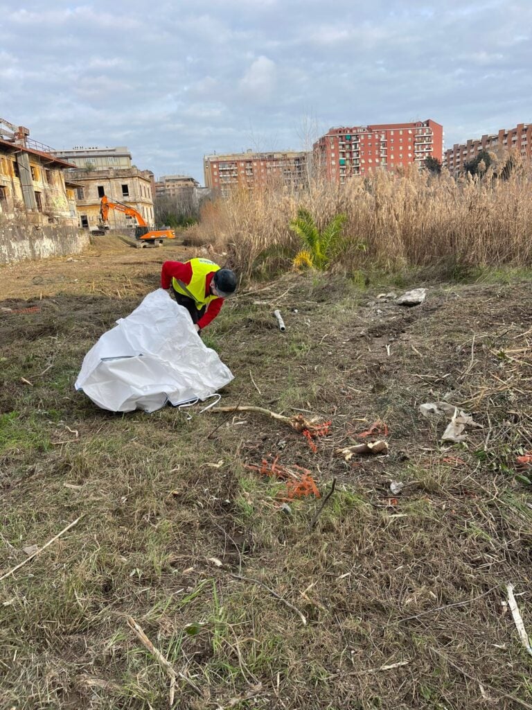 Roma ragiona sul futuro degli ex Mercati Generali a Ostiense