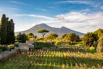 Nel Parco Archeologico di Pompei nascerà un vigneto con cantina: produzione di vino con tecniche antiche, ovviamente