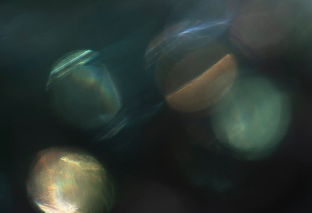 Caterina Saban – Campi di apparizione