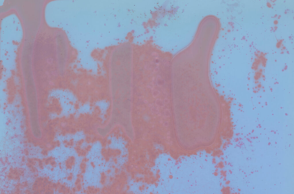 Cati Bestard Rotger – To Avoid an Infinite Loop. Act II: Recurrences