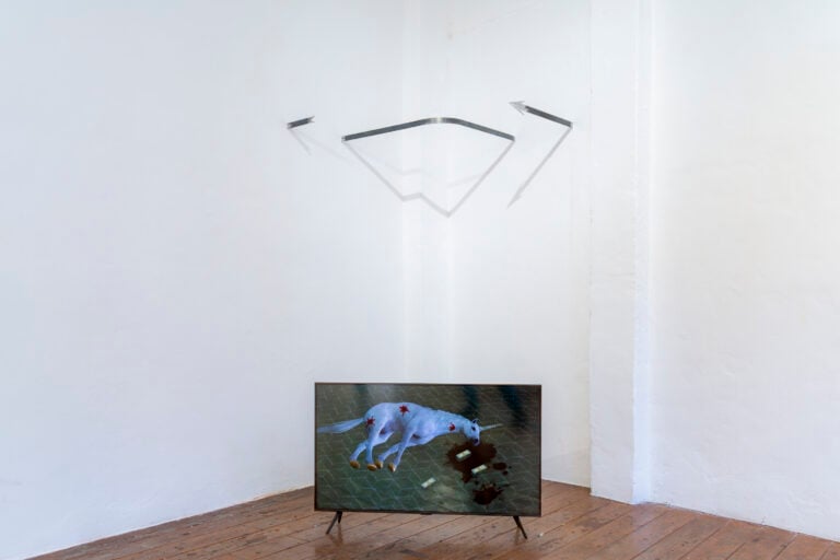 Gh&euml;ddo MUCHOMAS, Antonio Jordan Photography