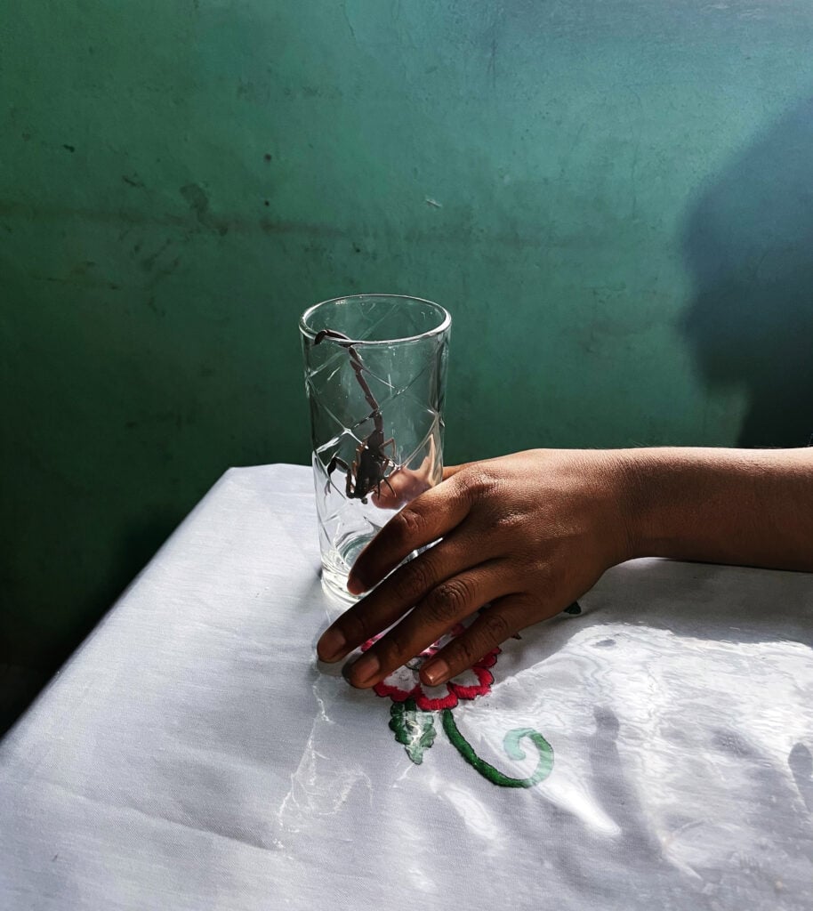 Giulia Gatti, Corazonada,2025
PhotoVogue Festival 2026