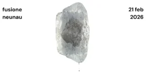 Sergio Maggioni - Fusione