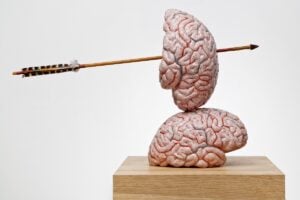 Jan Fabre - Brain thinking models and drawings