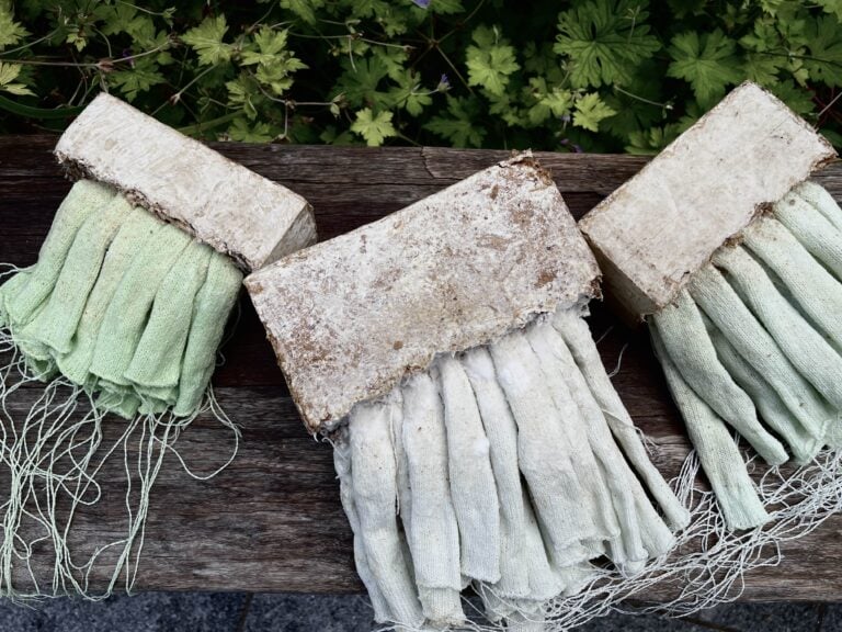 Scarti che diventano arte: le sculture di Zixiang Zhang come organismi viventi