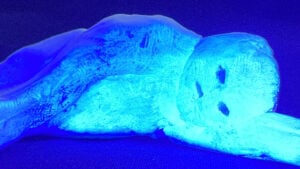 Mattia Pajè - That’s All Folks!