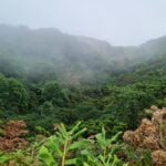 L&rsquo;ultimo lavoro in cassetta del duo formato da un musicista e una scultrice &egrave; nato sulle Azzorre