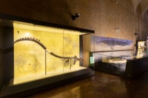 MUST è il nuovo museo dell’Università di Parma che si occupa non solo storia naturale 