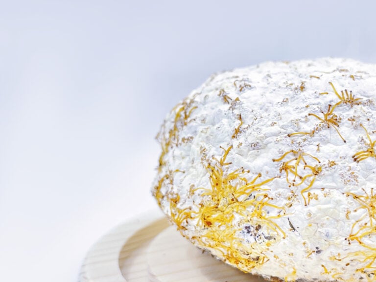 Scarti che diventano arte: le sculture di Zixiang Zhang come organismi viventi