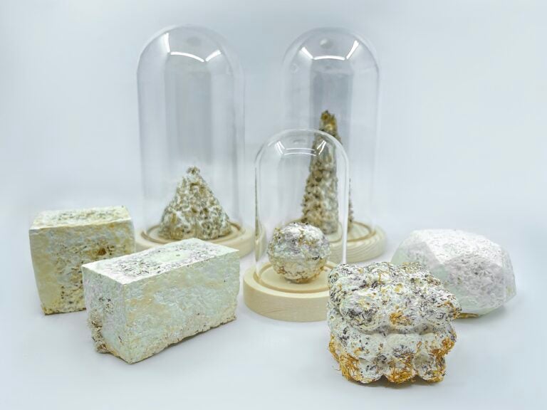 Scarti che diventano arte: le sculture di Zixiang Zhang come organismi viventi