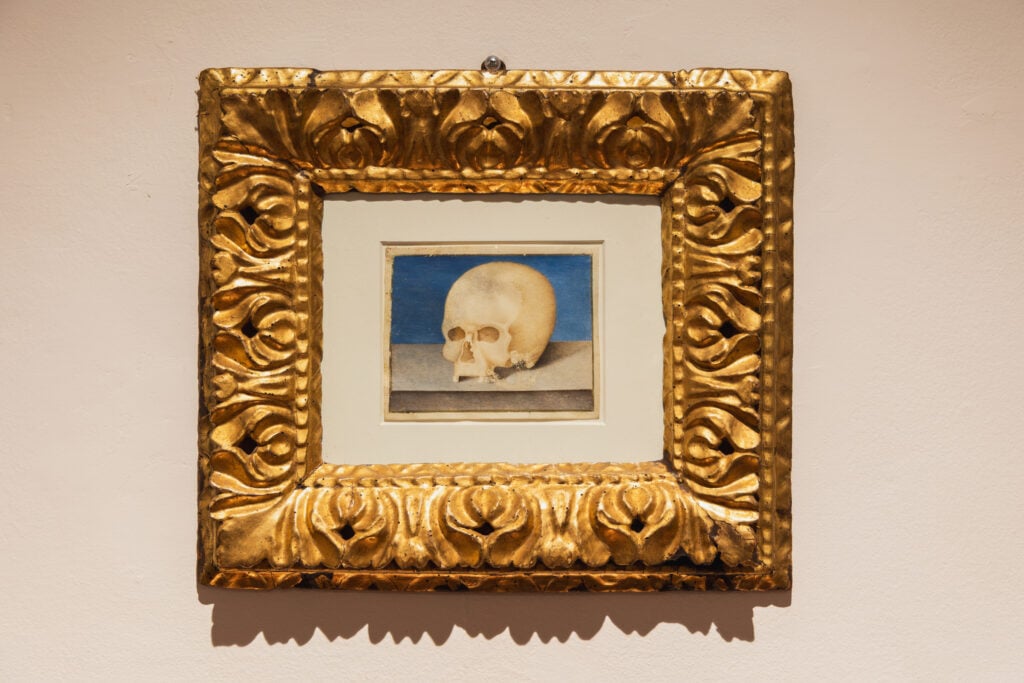 Paola Angelini, L'anno del serpente, installation view, Galleria d'Arte Contemporanea, Ascoli Piceno, 2026