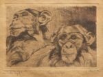 Pietro Pietra, Chimpanz&egrave;, collezione privata, s.d. Courtesy Associazione Bologna per le Arti