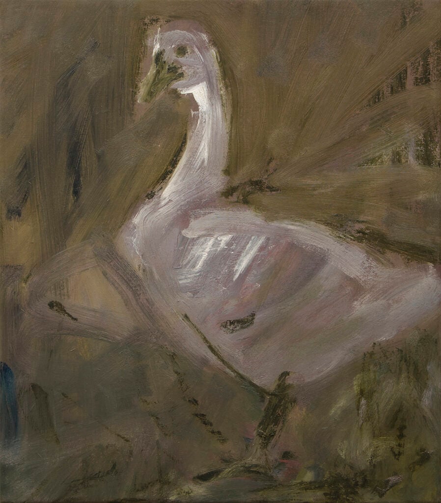 Rosario Vicidomini – Tears taunt me