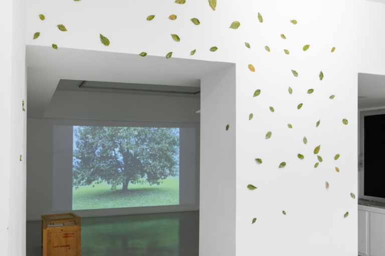 Silvia Cini, Fondazione Baruchello. Ph: Alessia Calzecchi