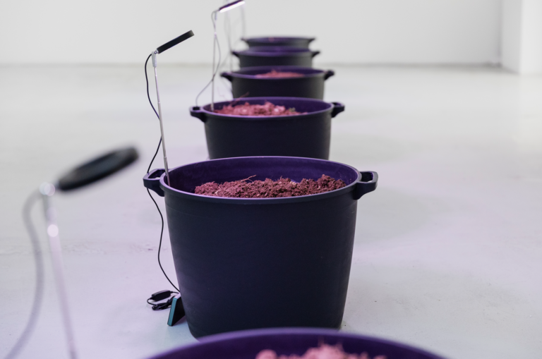 Silvia Cini, Fondazione Baruchello. Ph: Alessia Calzecchi