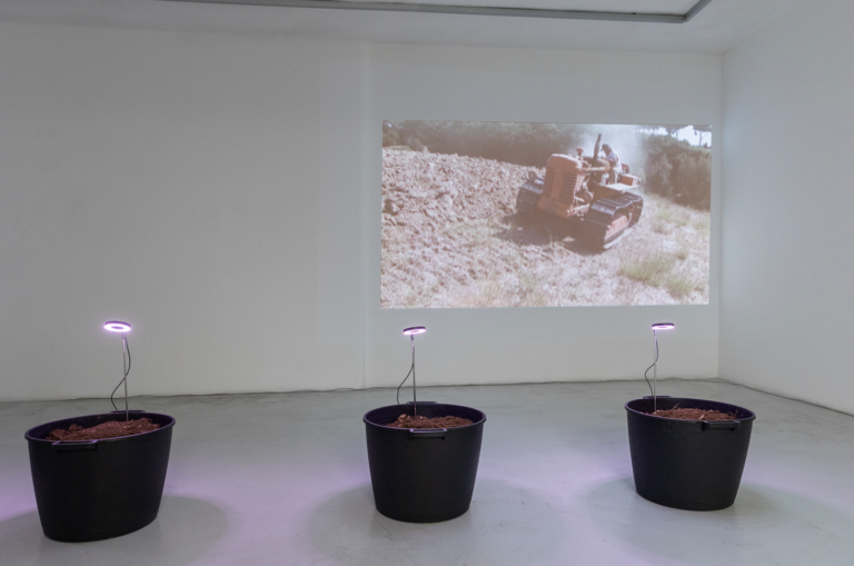 Silvia Cini, Fondazione Baruchello. Ph: Alessia Calzecchi