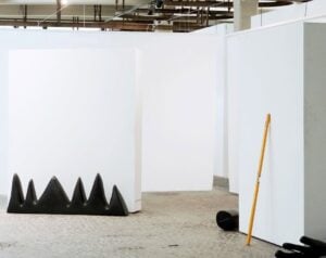 Chiara Capobianco - Architettura di una metamorfosi