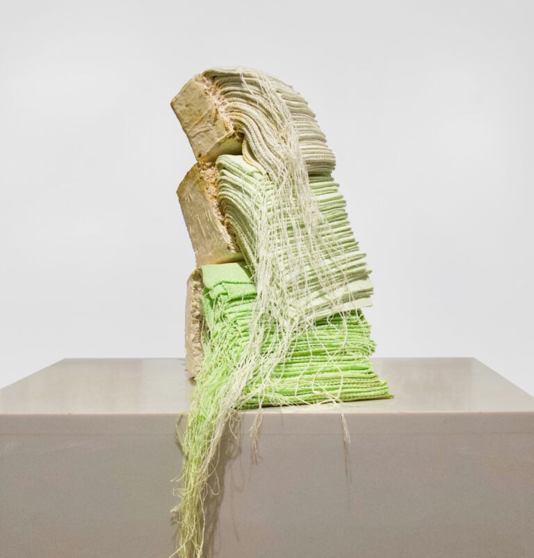 Scarti che diventano arte: le sculture di Zixiang Zhang come organismi viventi