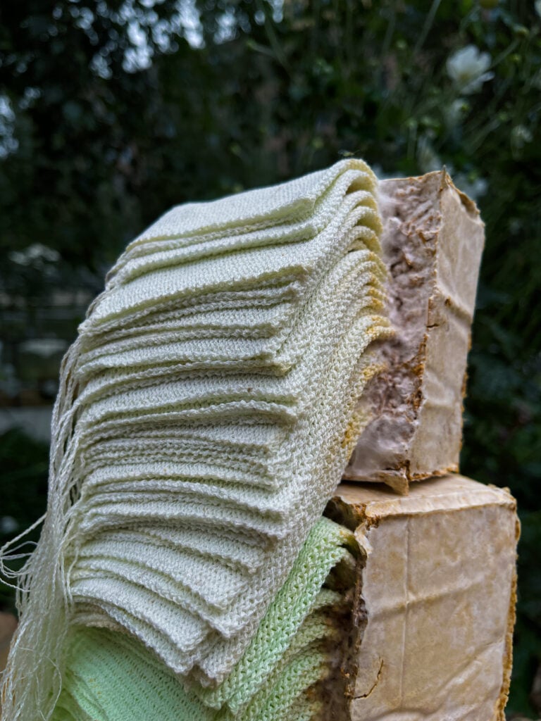 Scarti che diventano arte: le sculture di Zixiang Zhang come organismi viventi