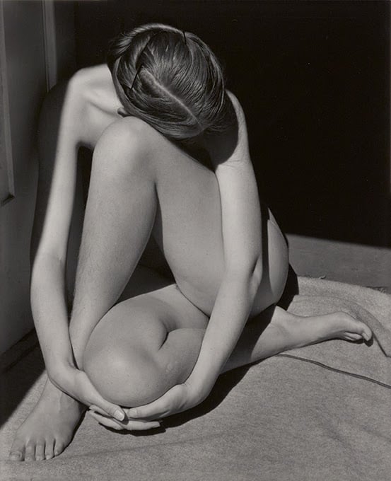 Edward Weston – La materia delle forme