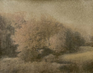 Michele Parisi - l'orizzonte si compie svanendo