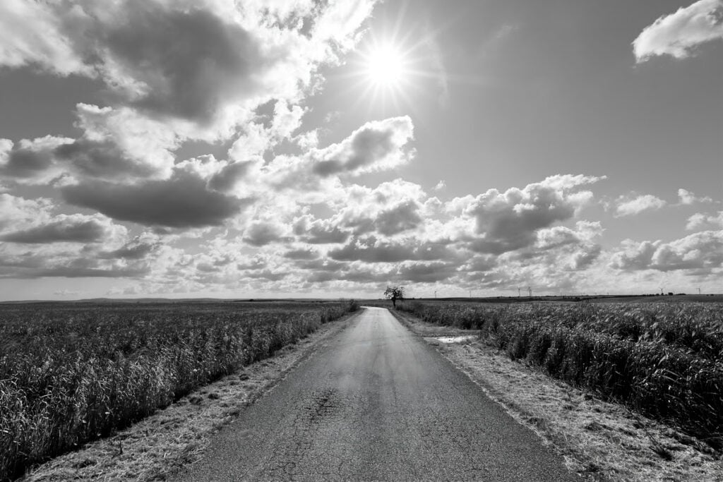 I paesaggi dell’Appia tra Melfi e Venosa