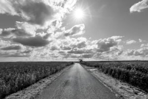 I paesaggi dell’Appia tra Melfi e Venosa