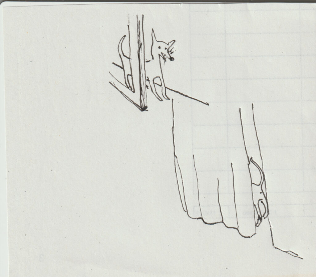 Luciano Maggiore – pum pum pum