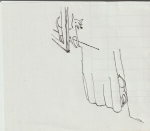 Luciano Maggiore - pum pum pum