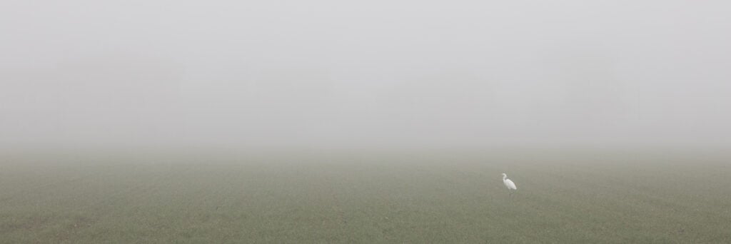 Andrea Bighi – Radici nella Pianura