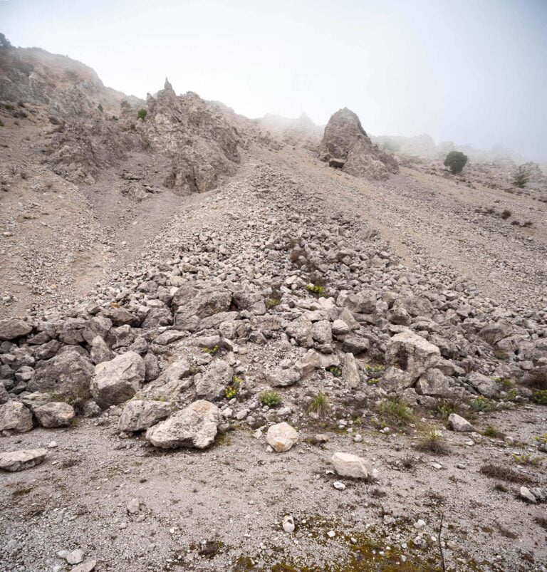 Sandro Scalia - Politij - 2025