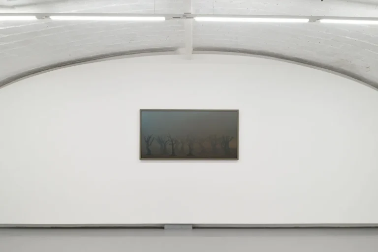 Silvia Camporesi, Uno strappo nel cielo di carta, 2026, z2o sara zanin, Installation view, ph roberto apa