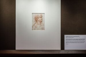 A tu per tu con Leonardo - Tre vedute di testa virile con barba