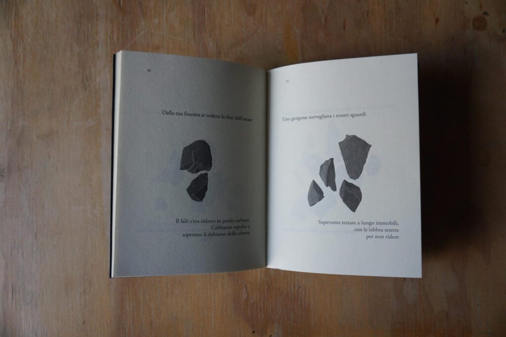 Zaelia Bishop. Lunario per sonnambuli libro