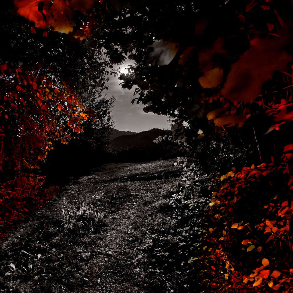 Bagliori di rosso e altre storie