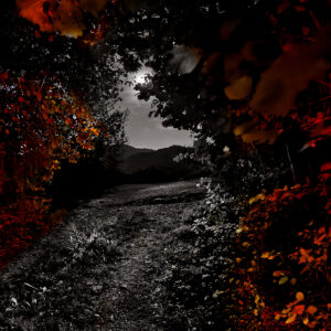 Bagliori di rosso e altre storie