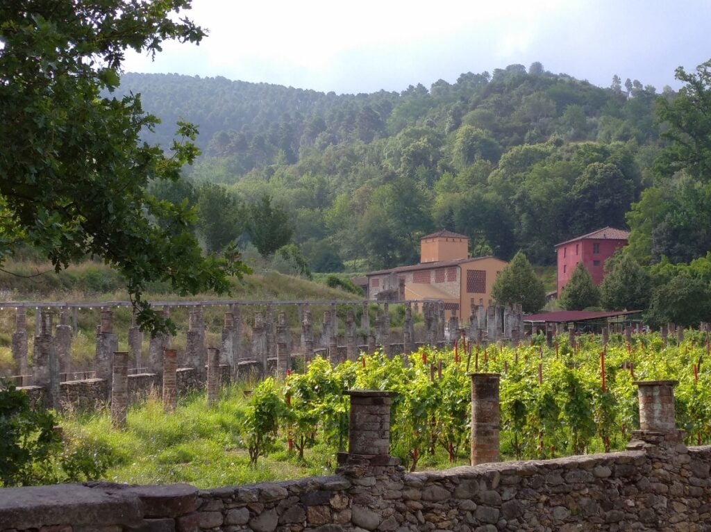 Guida ai festival culturali in Italia di fine marzo 2026: Flashback Habitat/ Scarecrow, VeneziaPiano, Grandi eventi epocali