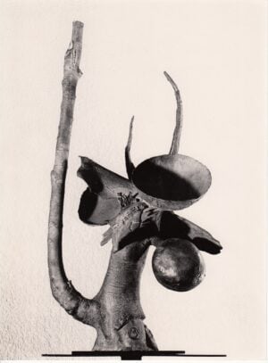 Marcello Mascherini - Gioia di vivere