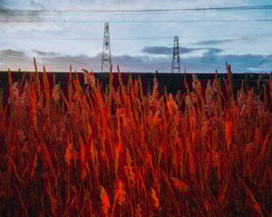 Lorenzo Gonnelli - Seconde Nature