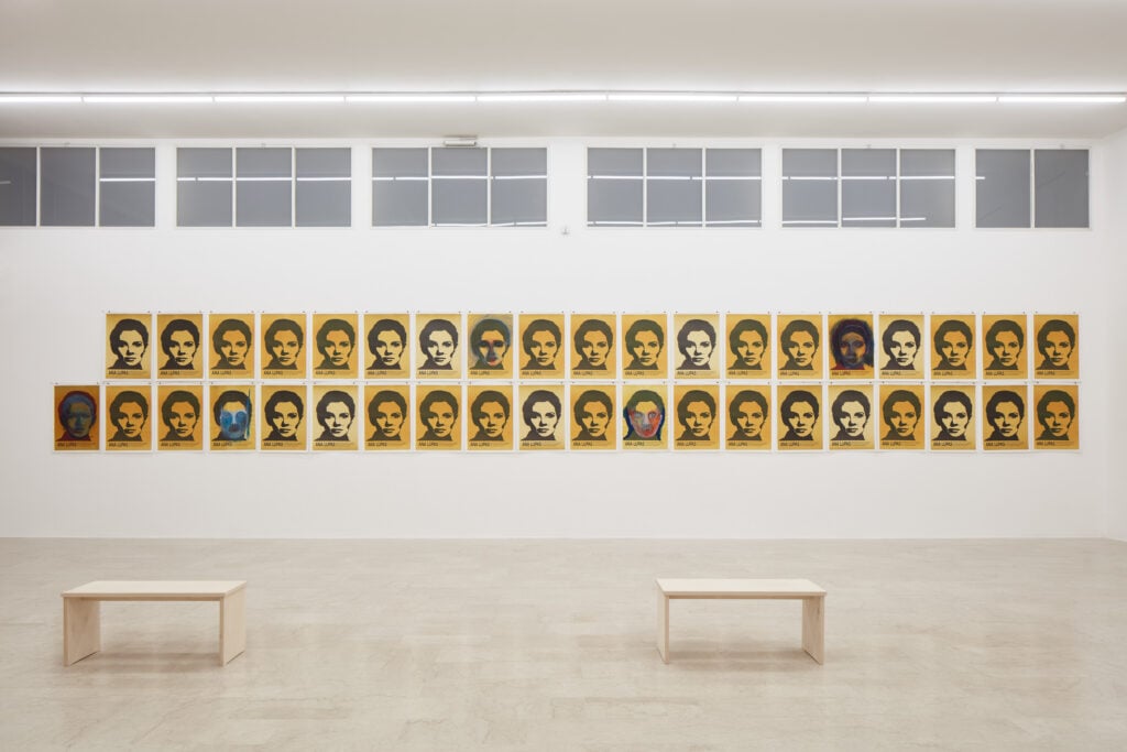 Ana Lupas, Armature, 2026, installation view, P420, Bologna. Courtesy P420